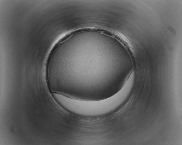 X0000116771326200912311830