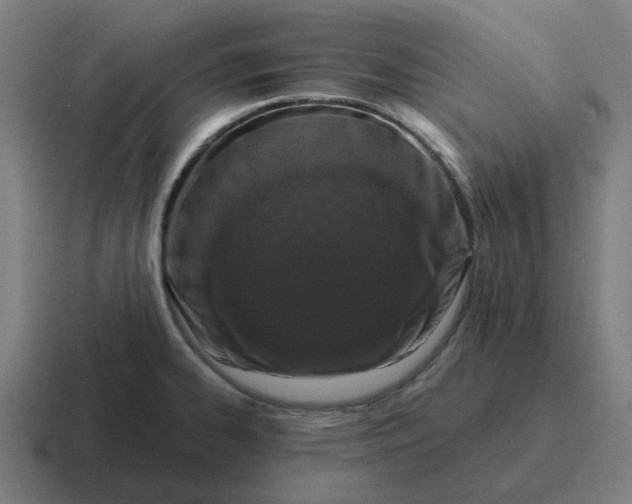 X0000116771334200912311830