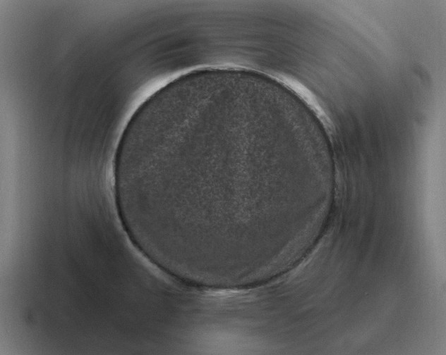X0000116771335200912311830