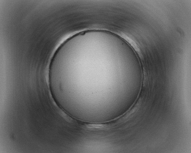X0000116771342200912311831