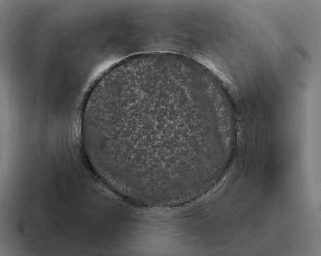 X0000116771358200912311830