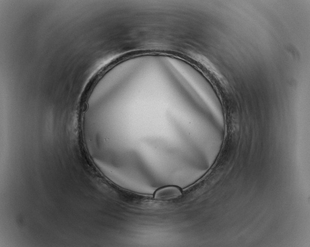 X0000116771364200912311830