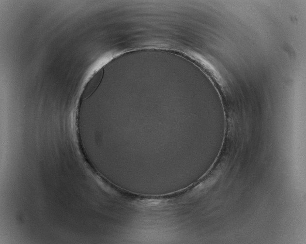 X0000116771373200912311830