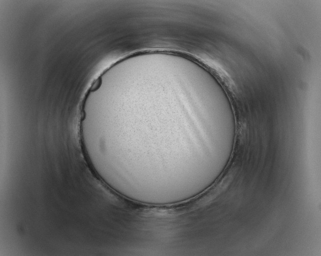 X0000116771374200912311830