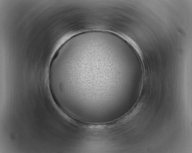 X0000116771389200912311829
