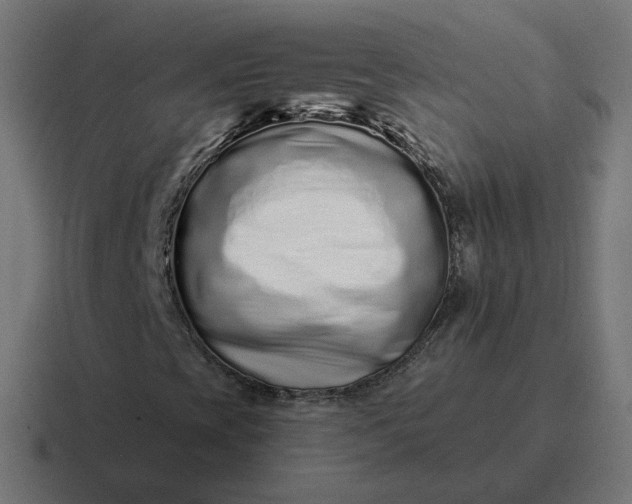 X0000116771393200912311829