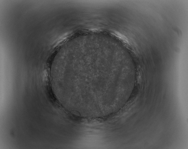 X0000116771397200912311829