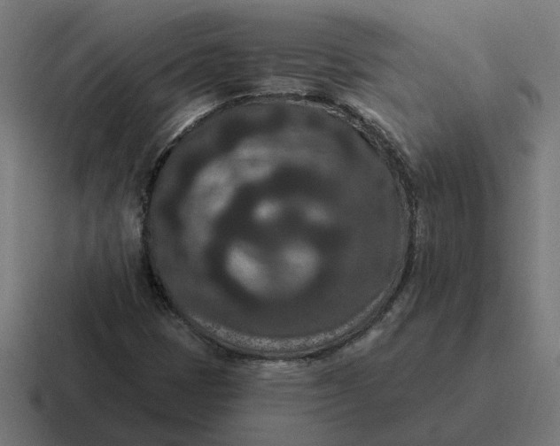 X0000116771401200912311829