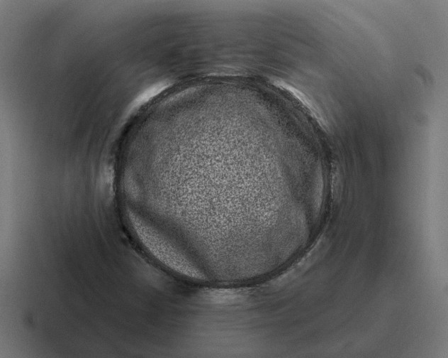 X0000116771402200912311829