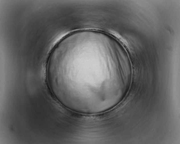 X0000116771415200912311829