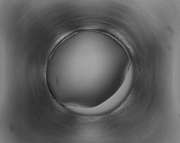 X0000116771417200912311829