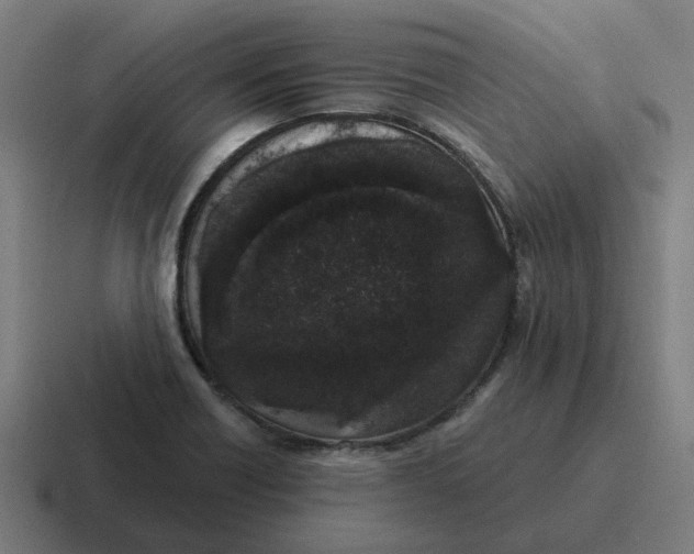 X0000116771418200912311829