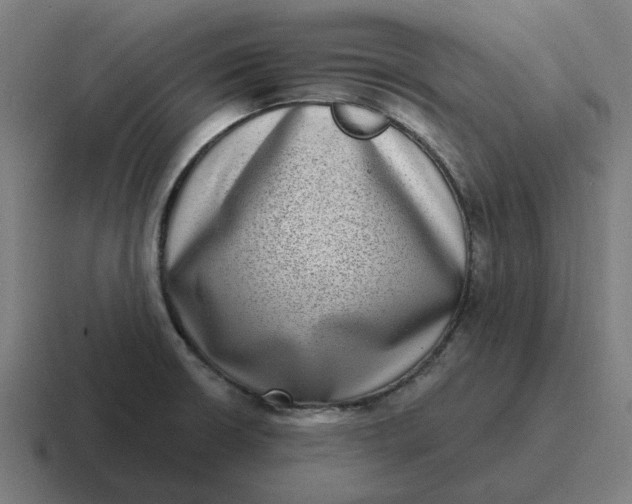 X0000116771426200912311829