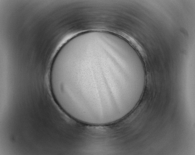 X0000116771432200912311829