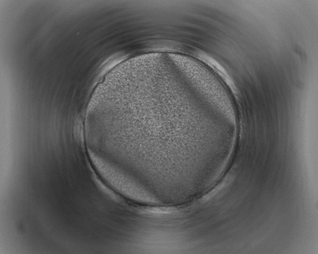 X0000116771433200912311829