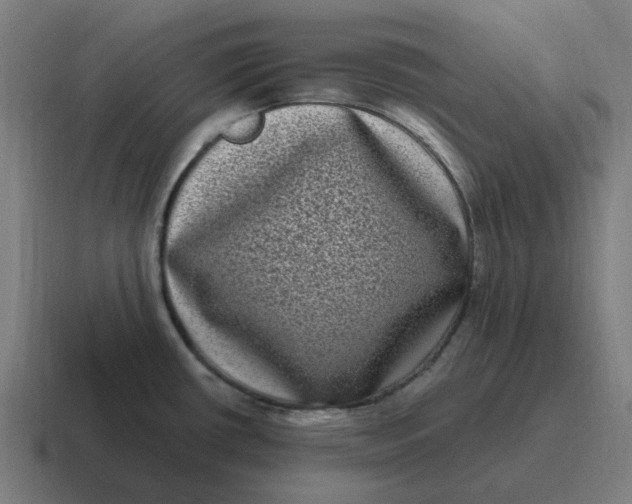 X0000116771434200912311829