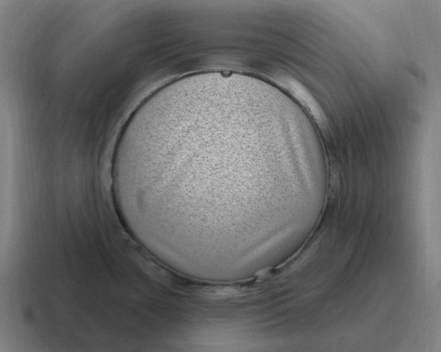X0000116771435200912311829