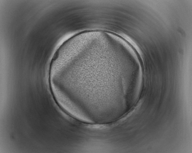 X0000116771437200912311829