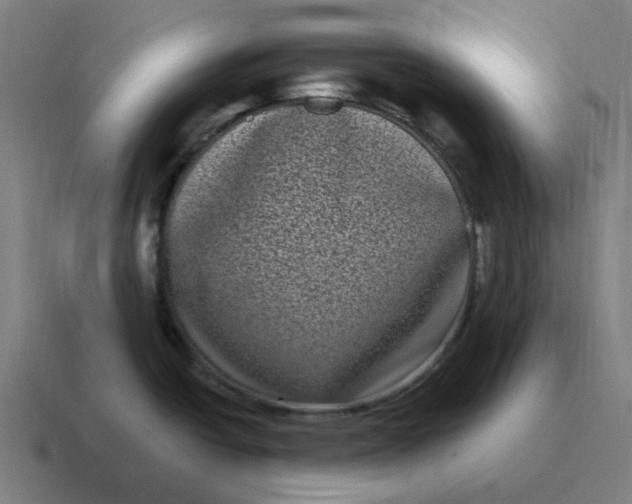 X0000116771438200912311829