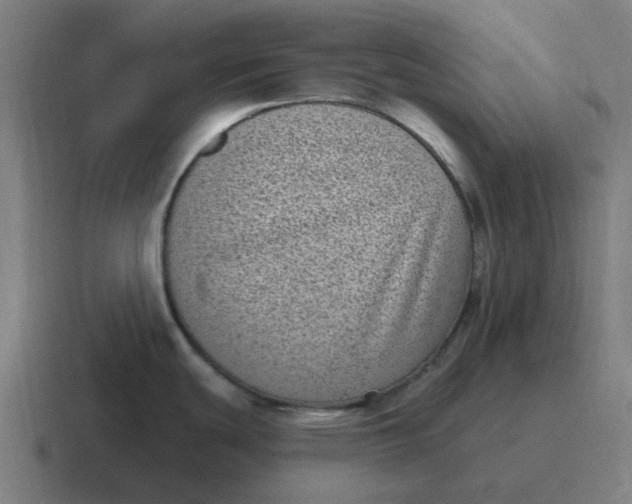X0000116771439200912311829