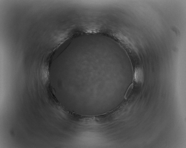 X0000116771444200912311829
