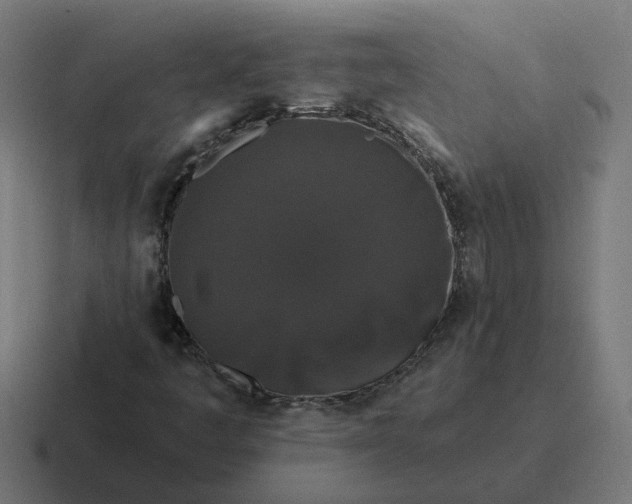 X0000116771445200912311829