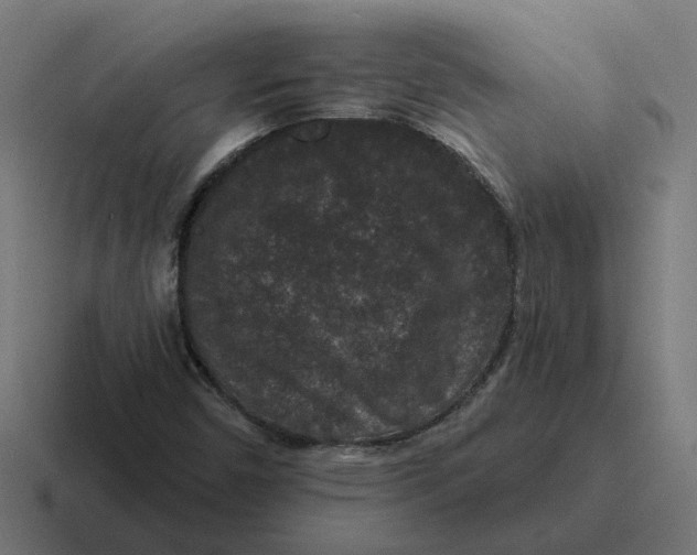 X0000116771450200912311829