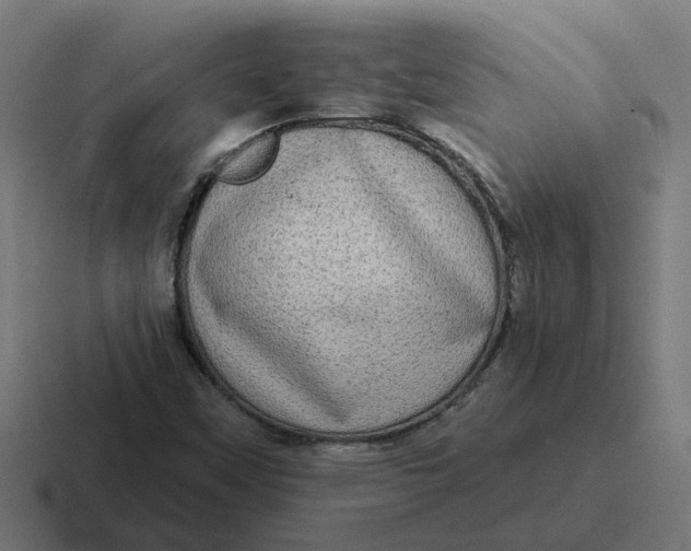 X0000116771451200912311829