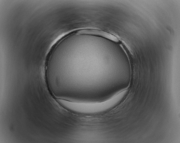 X0000116771460200912311829