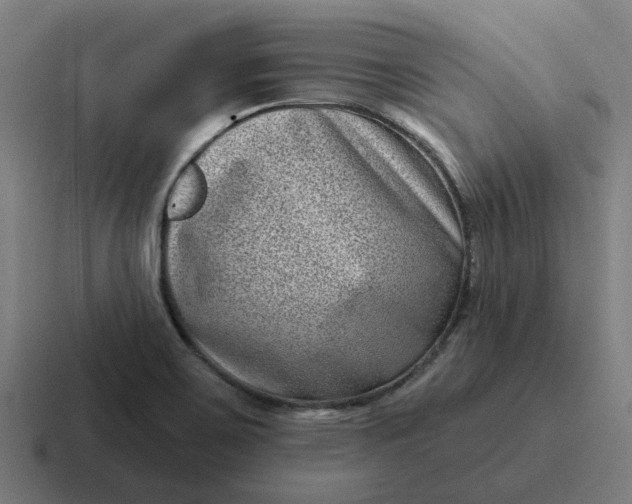 X0000116771467200912311828