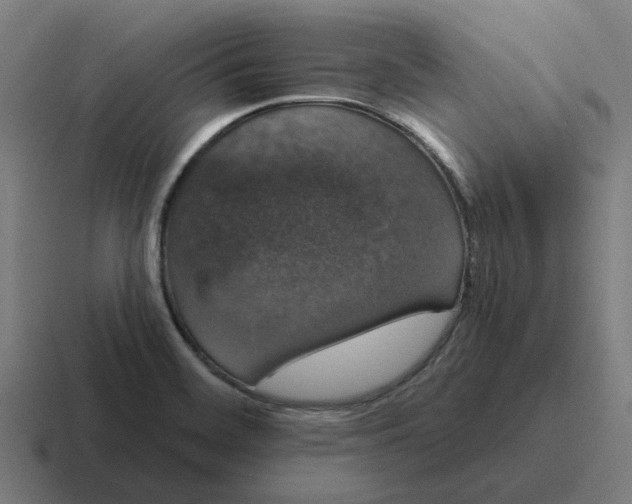 X0000116771468200912311828