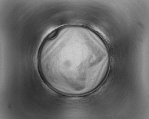X0000116771471200912311828