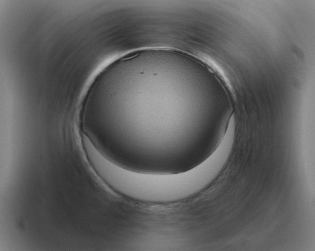 X0000116771480200912311828