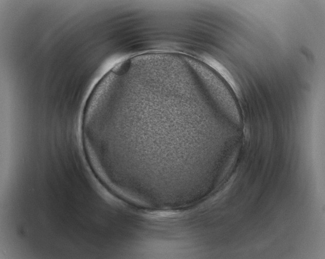 X0000116771482200912311828
