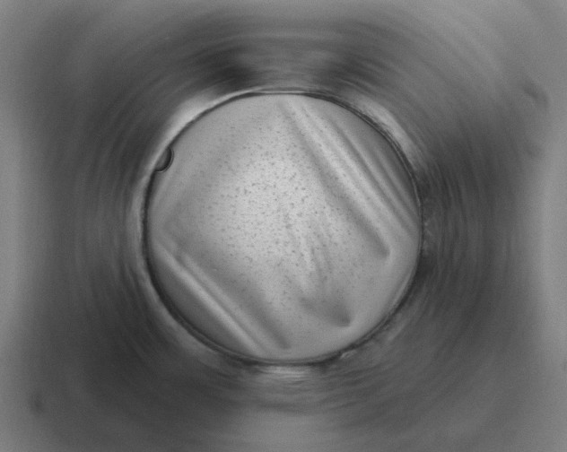 X0000116771483200912311828