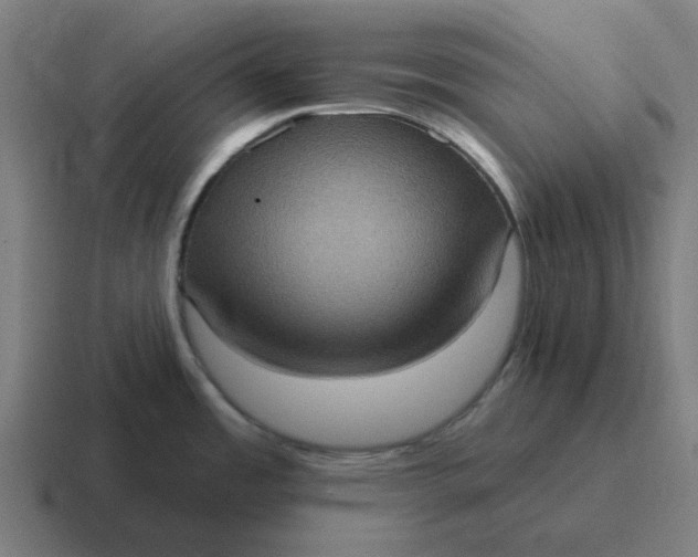 X0000116771485200912311828