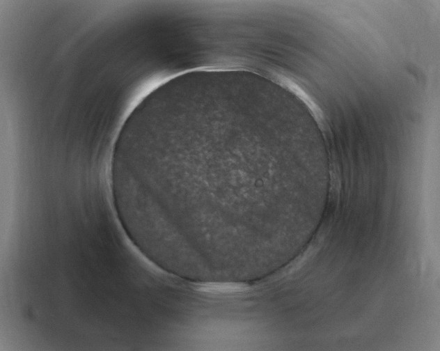 X0000116771487200912311828
