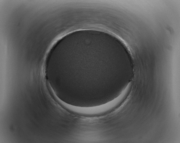 X0000116771506200912311828