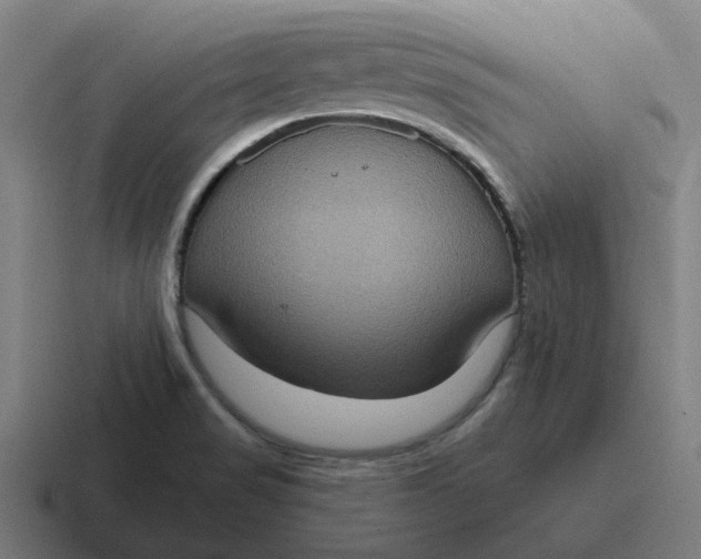 X0000116771517200912311828