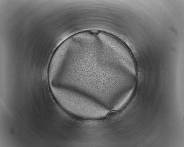 X0000116771521200912311828