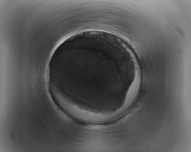 X0000116771522200912311828