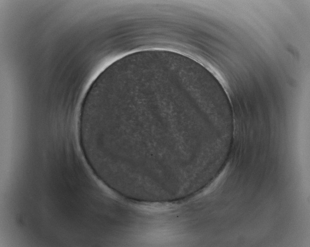 X0000116771533200912311828