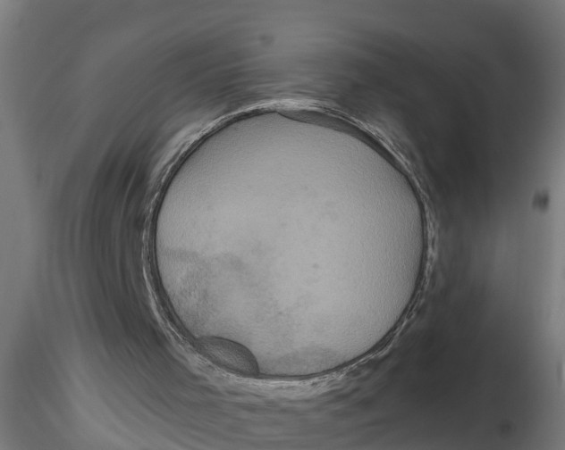 X0000116770001201001071226