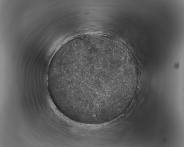 X0000116770002201001071226