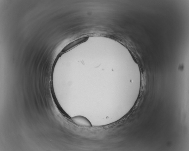 X0000116770003201001071226