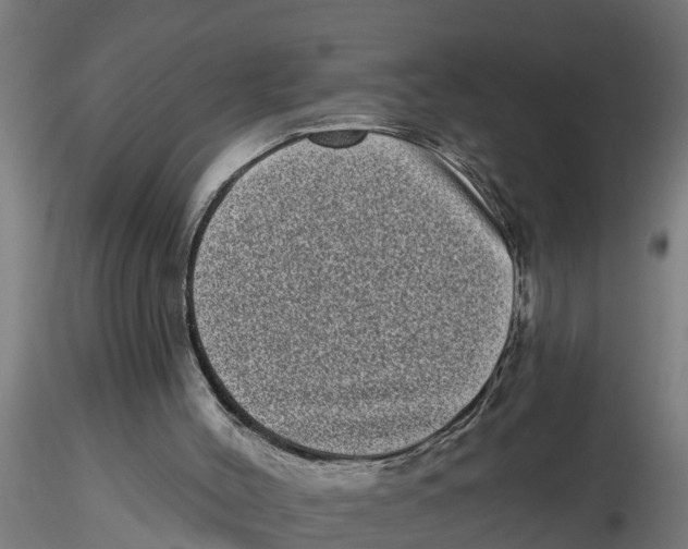 X0000116770004201001071226