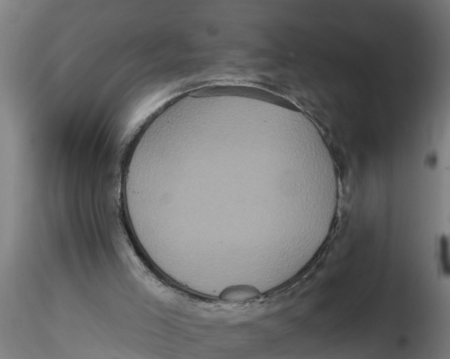 X0000116770005201001071226