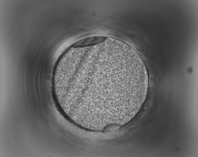 X0000116770007201001071226