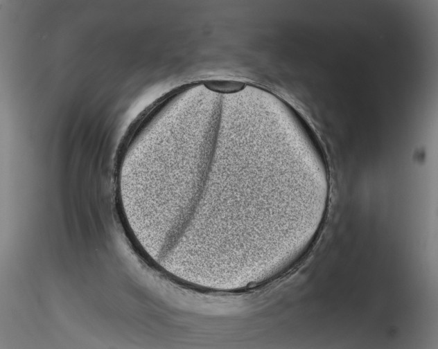 X0000116770008201001071226