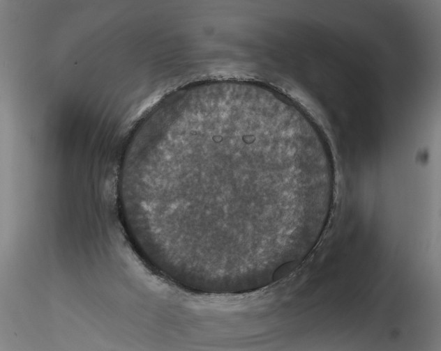 X0000116770009201001071226
